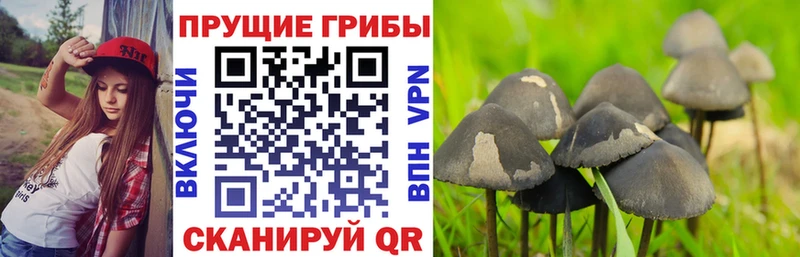 Галлюциногенные грибы мицелий Неман